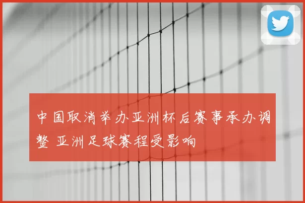中国取消举办亚洲杯后赛事承办调整 亚洲足球赛程受影响