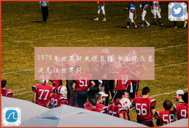 1978年世界杯央视直播 中国观众首次见证世界杯