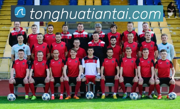 世界杯在线观看官网发展历程